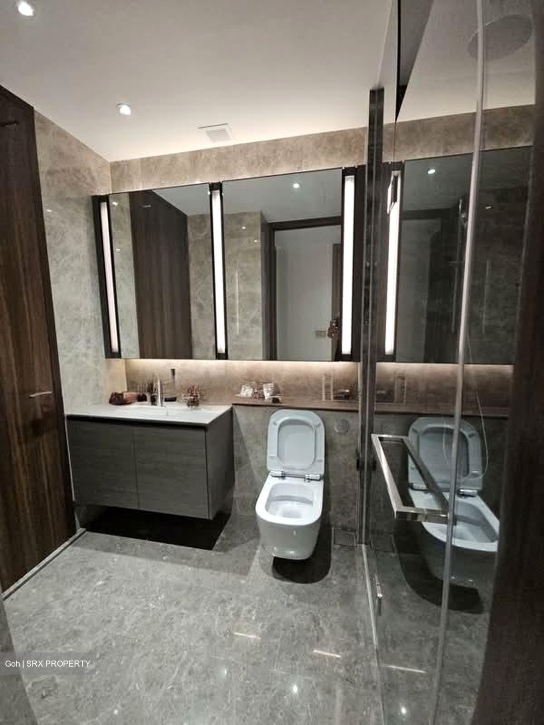 Leedon Green (D10), Condominium #587240061